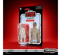 Hasbro Star Wars The Vintage Collection Padmé Amidala Action Figure (3.75”)