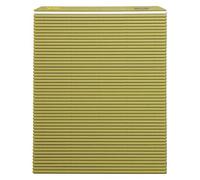 Hasegawa 10 x 9.5 Inch Plastic Green Makisu/Sushi Rolling Mat