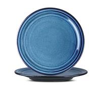 Hasense Ceramic Dinner Plates Set of 2,10 Inch Large Porcelain Pasta and Salad Plates,Blue Stoneware Plate Set Microwave,Oven,and Dishwasher Safe