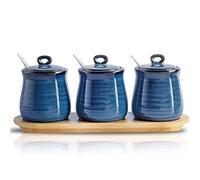 Hasense Porcelain Condiment Jar,10oz Spice Container with Lid Spoon and Bamboo tray,Small Salt Sugar Pepper Seasoning Pots Box Set of 3,Ceramic Condiment Container for Home kitchen Counter（Blue）