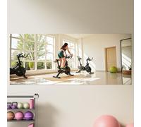 Hasipu Home Gym Mirrors 245x100cm -1 PCS Large Full Body Mirror for Yoga, Large Wall Mirror Full Length for Fitness, Garage, Dance Studio, 0.16in Tempered Glass Frameless Mirrors-UL