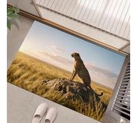 HASLEFND Door Mats Indoor, Machine Washable Soft Doormats, Dirt Trapper Door Mat,Wild Animals Cheetahs On The Grasslands Entrance Rug, Non-slip Floor Mats For Inside, Front Back DoorsYellowish Brown