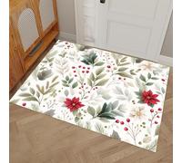 HASLEFND Plants And Flowers Door Mat 45 x 75 cm -Branches, Berries, Eucalyptus Leaves Machine Washable Mat Super Soft Non Slip Doormat Indoor Outdoor Water Absorbent Floor Mats Entrance Rug - Green