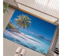HASLEFND Tropical Resort Style Door Mats Indoor, Machine Washable Soft Doormats, Palm Tree Beach Door Mat, Blue Entrance Rug, Non-slip Floor Mats For Inside, Front Back Doors, 60 x 90 cm