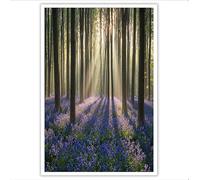 HASLEFND UnFramed Canvas Wall Art - Yellowish Purple Natural SceneryBluebell Forest Sunshine Printed paintings, Whimsical Walls Decoration for Bathroom Kitchen Bedroom Decor - 70 x 100 cm