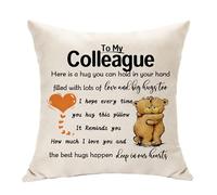 Hasodeo A Little Cushion Cover Hug Keepsake Gifts for Him or Her Birthday Christmas Bridal Shower Graduation Wedding Homecoming Gifts Throw Pillow Cover Decoration 45 X 45 CM (Colleague)
