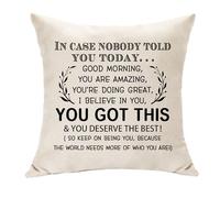Hasodeo Motivation Home Decoration Cushion Cover You Got This Gift for Women Men Throw Pillow Cover for Family Friend Inspirational Gifts for Her Him Birthday Christmas (In case)