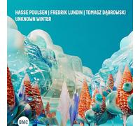 HASSE POULSEN & FREDRIK LUNDIN & TOMASZ DABROWSKI - UNKNOWN WINTER
