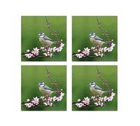 Hassett Green London Scented Greeting Cards - Blue Tit Blossom - Four Blank Cards with Envelopes for Personal Messages, Size 15.5 x 15.5 cm