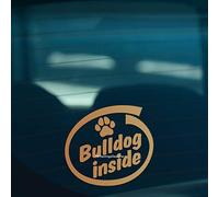 HastingsDesigner BULLDOG INSIDE English Dog Funny Car Van Window Bumper Vinyl Decal Sticker (Gold)