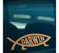 HastingsDesigner DARWIN FISH Evolution Evolve Funny Car,Van,Window,Laptop JDM DUB EURO Vinyl Decal Sticker (Gold)