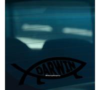 HastingsDesigner DARWIN FISH Evolution Evolve Funny Car,Van,Window,Laptop JDM DUB EURO Vinyl Decal Sticker (Black)