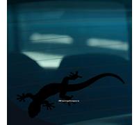 HastingsDesigner GECKO LIZARD Novelty Car, Window, Bumper, Wall, Laptop Vinyl Decal Sticker (Black)