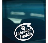 HastingsDesigner LABRADOR INSIDE Retriever Dog Paw Funny Car, Window, Bumper Vinyl Decal Sticker (White)