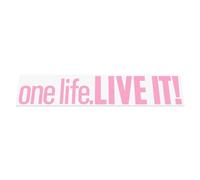 HastingsDesigner ONE LIFE LIVE IT Funny Offroad Car Camper Van 4x4 DUB Vinyl Decal Sticker (Soft Pink)