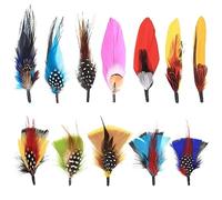 Hat Feathers, 12 Pcs Natural Feathers, Mixed Assorted Cowboy Hats Feathers, Crafts Feathers for Men Hats, Western Cowboy Hats, Fedoras, DIY Centerpieces Crafts Dream Catcher Decorations