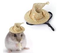 Hat for Pets, Pet Hats for Small | Ferret Party Hat | Cute Creative for Little