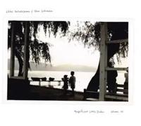 Hatakeyama,Chihei - Magnificent Little Dudes Vol 2 (Black Vinyl 2lp) [VINYL]