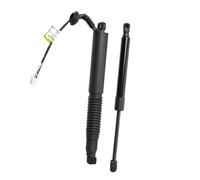 Hatch Struts 1551488-99-B 1551488-00-C 1551488-98-B For Tesla For Model 3 2021-2023 Rear Left Right Electric Liftgate Trunk Strut