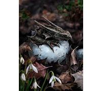 Hatchling - Greeting Card by Anne Stokes