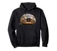 Hatchling Spur-Thighed Tortoise Looking Out Of Its Carapace Pullover Hoodie