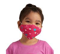 Hatley Unisex Kids Children's Double Layer Face Mask With Ear Elastic Fashion Scarf, Lovely Hearts, 1 Count (Pack of 1)