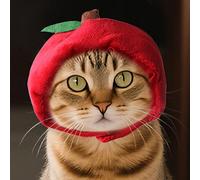 Hats for Cats - Warm Winter Hat for Cats, Straw Hat for Pets, Funny Mexican Door, for Puppies, Cute Cat, Winter, Warm Bear Hats, Soft, Comfortable, Cute Santa Claus, Red Costume Suit