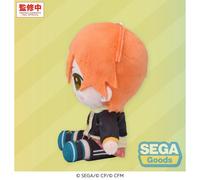 Hatsune Miku: Colorful Stage! Mysekai Plush Figure Akito Shinonome (S) 13 cm