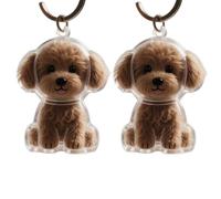 Hattba 2/3/4/5/10Pcs Pet Memory Keychain With Hair Collector Compartment Pet Furs Storage Pendants For Dog Cats Lover Gift Hair Collector Keychain