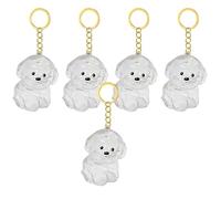 Hattba 2/3/4/5/10Pcs Pet Memory Keychain With Hair Collector Compartment Pet Furs Storage Pendants For Dog Cats Lover Gift Hair Collector Keychain
