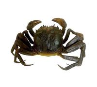 Hattba Realistic Simulation Seafood Model Artificial Seafood Ornament Realistic For Kitchen Display And Homes Staging Crabs Decoration