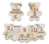 Hatzelou 7Pcs Winnie The Pooh Baby Monthly Milestone Markers, Classic Winnie Baby Stuff, Double-Sided Printing Months Baby Milestone Wooden Keepsake, Milestone Pictures of Newborn