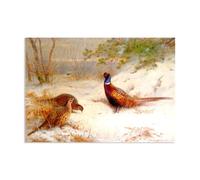 Hau3sh3a Canvas Art Print by Archibald Thorburn A Winter Dawn Pheasants in the Snow Pictures of Birds on Canvas Giclee Wall Decor Vintage Animal Paintings for Living Room70x50cm(28x20in) Frameless