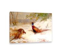 Hau3sh3a Canvas Art Print by Archibald Thorburn A Winter Dawn Pheasants in the Snow Pictures of Birds on Canvas Giclee Wall Decor Vintage Animal Paintings for Living Room70x50cm(28x20in) Framed