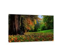 Hau3sh3a Fall Forest Canvas Wall Art Forest Park Trees Yellow Fallen Leaves Picture Wall Decor Autumn Trees Painting Nature Landscape Pictures Gift Bedroom Office Home Decor65x40cm(26x16in) Framed