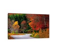Hau3sh3a Fall Forest Canvas Wall Art nature road forest red colorful Picture Wall Decor Autumn Trees Painting Nature Landscape Pictures Gift Bedroom Office Home Decor80x50cm(31x20in) Framed
