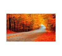 Hau3sh3a Fall Forest Canvas Wall Art road trees leaves yellow colorful Picture Wall Decor Autumn Trees Painting Nature Landscape Pictures Gift Bedroom Office Home Decor125x70cm(49x28in) Frameless