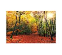 Hau3sh3a Fall Forest Canvas Wall Art Sunlight through the forest yellow Picture Wall Decor Autumn Trees Painting Nature Landscape Pictures Gift Bedroom Office Home Decor45x30cm(18x12in) Frameless