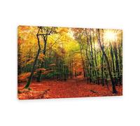 Hau3sh3a Fall Forest Canvas Wall Art Sunlight through the forest yellow Picture Wall Decor Autumn Trees Painting Nature Landscape Pictures Gift Bedroom Office Home Decor60x40cm(24x16in) Framed