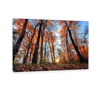 Hau3sh3a Fall Forest Canvas Wall Art Sunlight through the yellow forest Picture Wall Decor Autumn Trees Painting Nature Landscape Pictures Gift Bedroom Office Home Decor60x40cm(24x16in) Framed