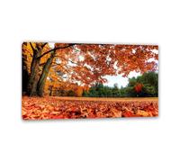 Hau3sh3a Fall Forest Canvas Wall Art Yellow fallen leaves in Dashu Park Picture Wall Decor Autumn Trees Painting Nature Landscape Pictures Gift Bedroom Office Home Decor135x80cm(53x31in) Framed