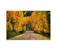 Hau3sh3a Fall Forest Canvas Wall Art Yellow forest road pine trees Picture Wall Decor Autumn Trees Painting Nature Landscape Pictures Gift Bedroom Office Home Decor105x70cm(41x28in) Frameless