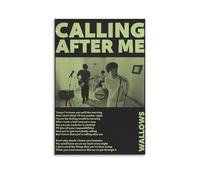 HAUEWB4HEWY Wallows Calling After Me Poster Aesthetic Canvas Cover Wall Art Poster Modern Art Paintings for Living Rooms 20x30inch(50x75cm) Unframe-style