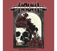 Haunt - Beautiful Distraction [VINYL]