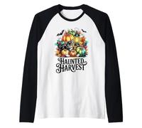 Haunted Harvest Kitten with Glowing Lantern and Ghosts Raglan Baseball Tee