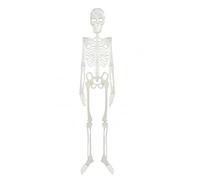 Haunted House 976160 Glow In The Dark Plastic Skeleton | White | 1pc