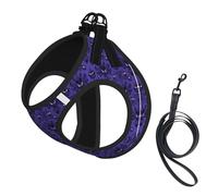 Haunted Mansion Print Small Dog Harness And Leash Set, Adjustable Soft Vest With 360° Reflective Straps For Cats Puppy