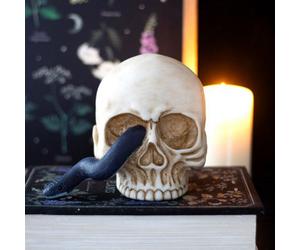 Haunting Skull Ornament With Serpent - Unique Home Decor