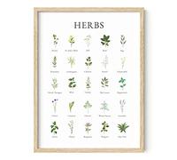 HAUS AND HUES Herb Pictures for Kitchen - Botanical Prints Wall Art, Cottage Core Decor (Beige Frame, 12x16)