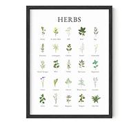 HAUS AND HUES Herb Pictures for Kitchen Wall Art Kitchen Herbs Wall Art and Botanical Prints Herbs Art Cottage Core Decor (12" x 16", UNFRAMED)